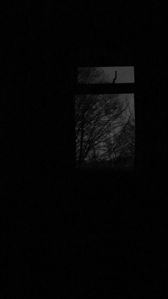 WhatsApp Image 2020-04-22 at 17.22.01